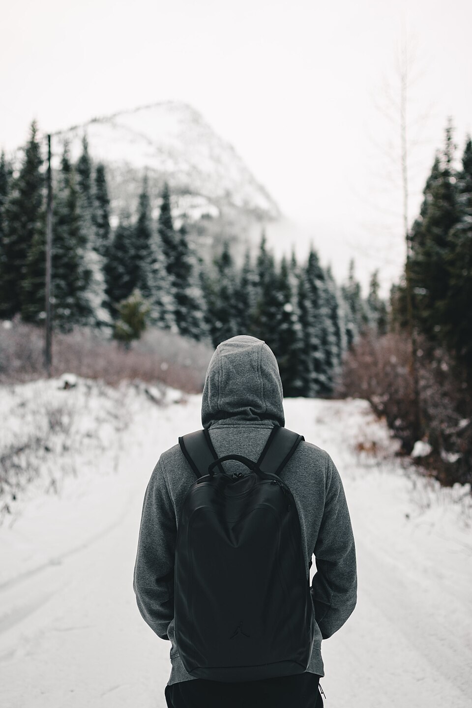 Zip Fleece Hoodie
